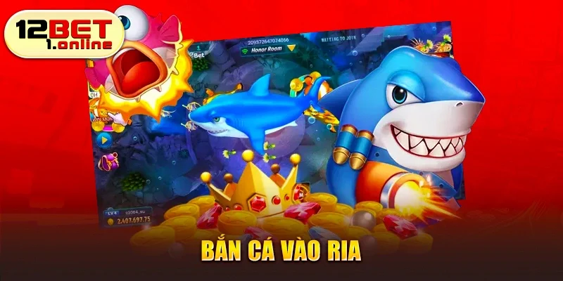 Bắn cá vào ria