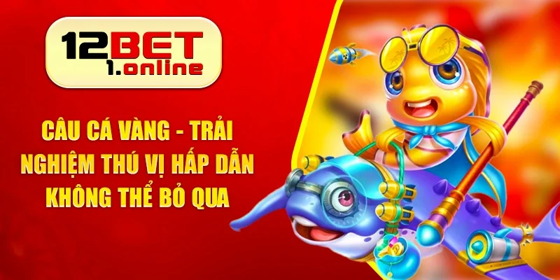 Câu Cá Vàng - Trải Nghiệm Thú Vị Hấp Dẫn Không Thể Bỏ Qua