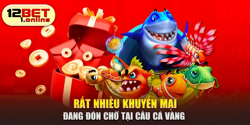 Rất nhiều khuyến mại đang đón chờ tại câu cá vàng